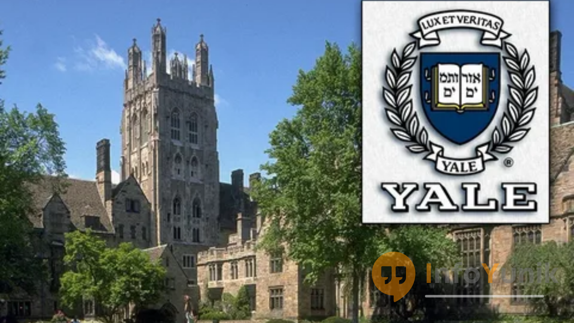 Universitas Yale