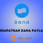 Cara Mendapatkan Dana Paylater Secara Mudah