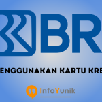 Cara Menggunakan Kartu Kredit BRI Secara Mudah