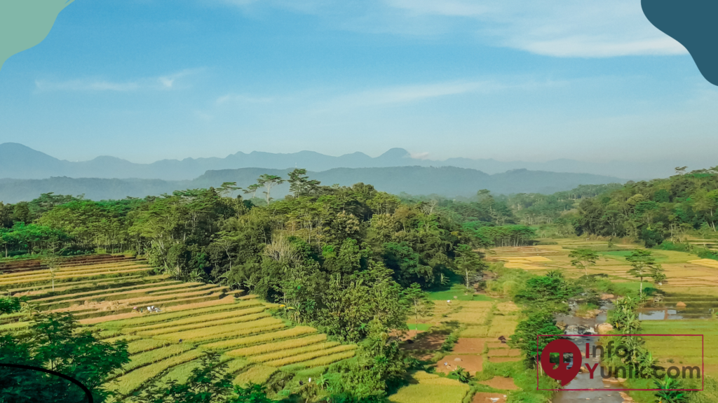 Potensi Sumber Daya Alam di Indonesia