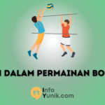 Aturan dalam Permainan Bola Voli yang Harus Diketahui Panduan Lengkap