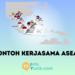 Contoh Kerjasama ASEAN di Bidang Sosial_ Meningkatkan Kualitas Kehidupan Warga Negara