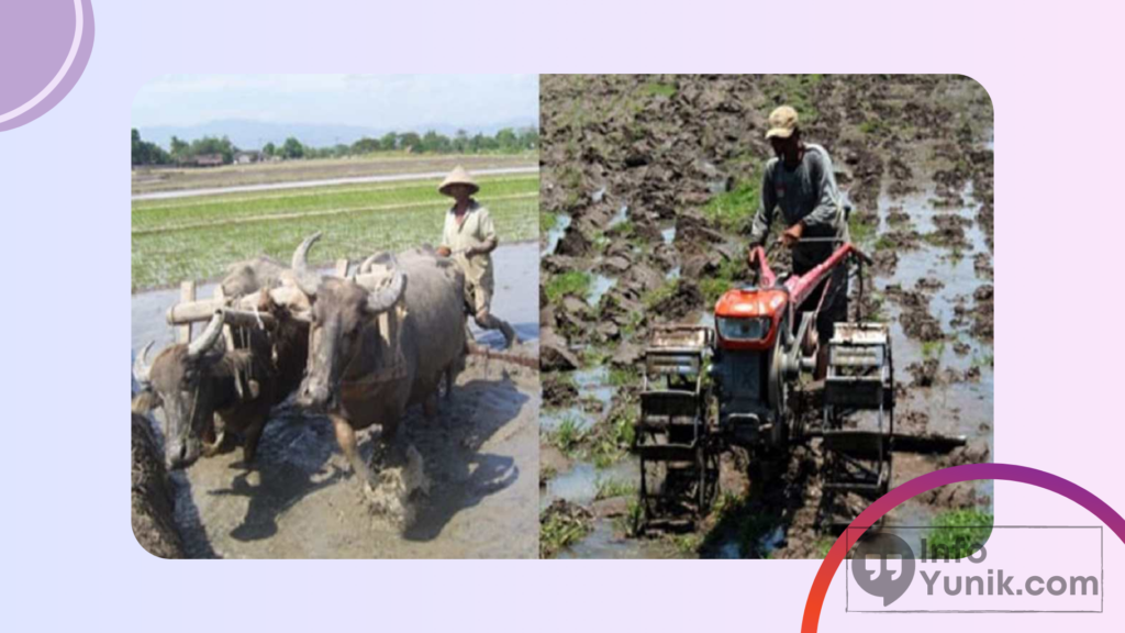 Contoh Perubahan Sosial di Lingkungan Masyarakat